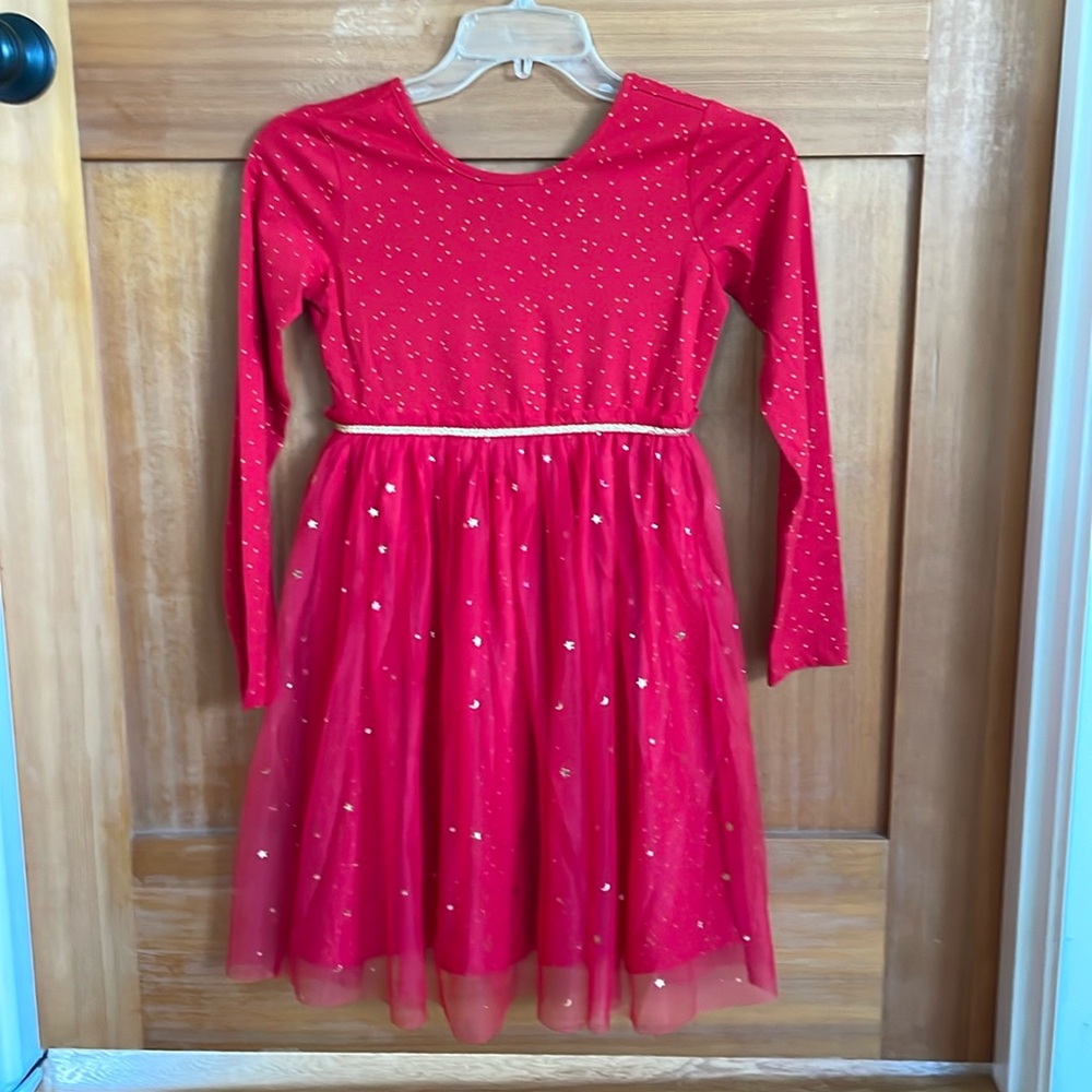 NWOT - ❤️ Hanna Andersson long sleeve tulle Dress  - size 10